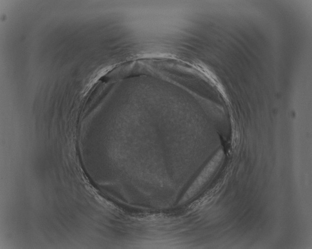 X0000067890385200604271832