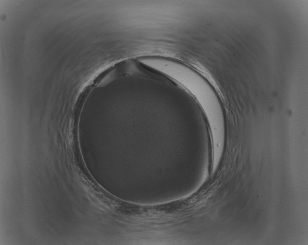 X0000067890387200604271832