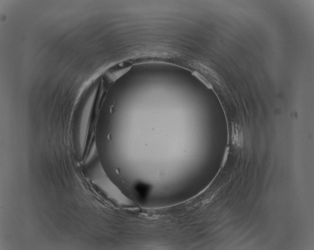 X0000067890388200604271832