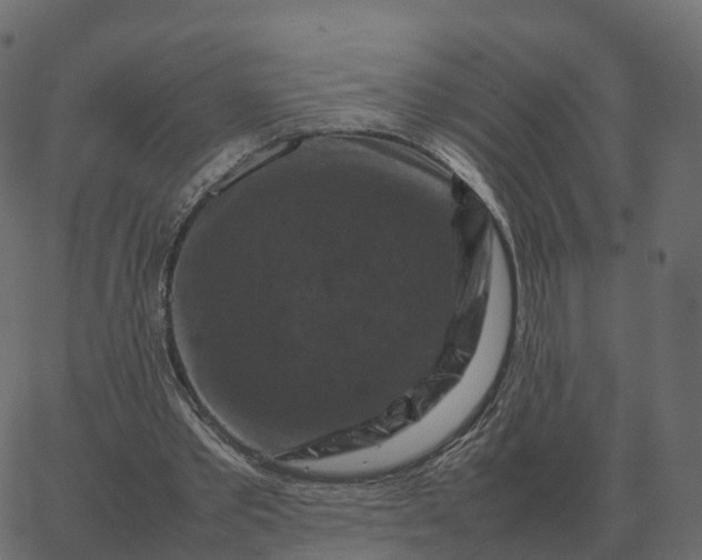 X0000067890389200604271832