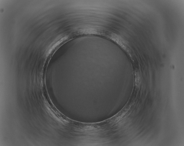 X0000067890390200604271832