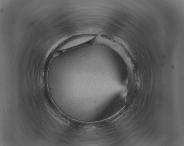 X0000067890392200604271832