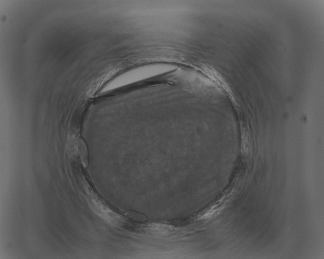 X0000067890393200604271832