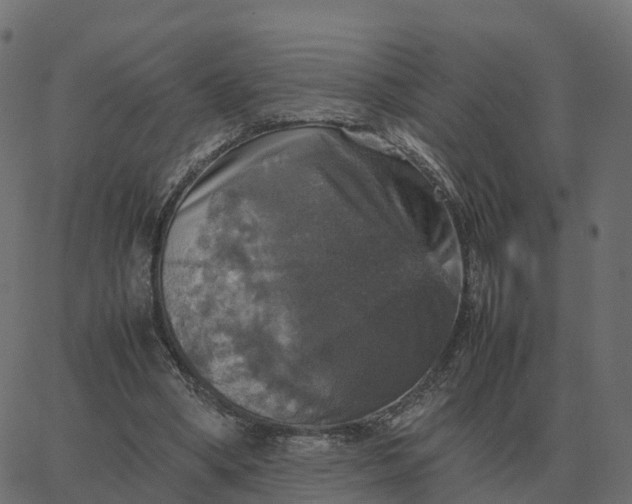 X0000067890394200604271832