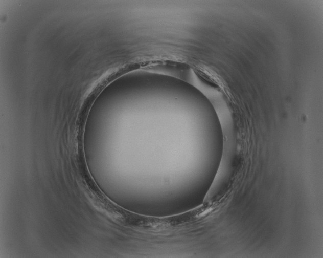 X0000067890395200604271832