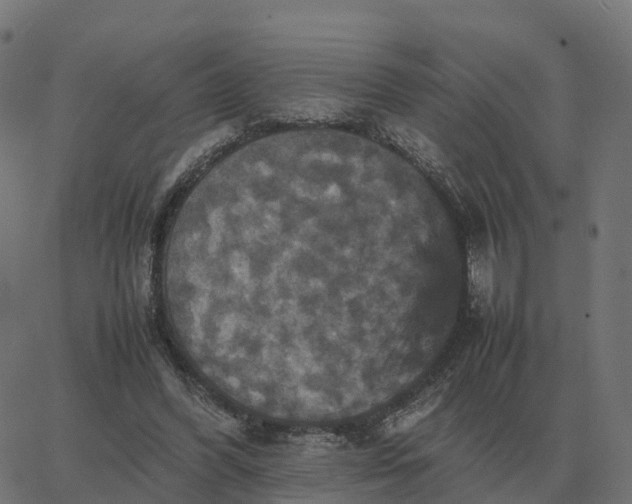 X0000067890396200604271832