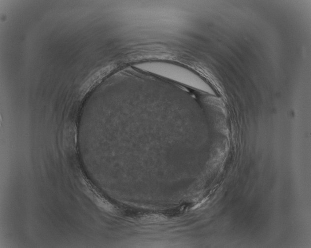 X0000067890397200604271832