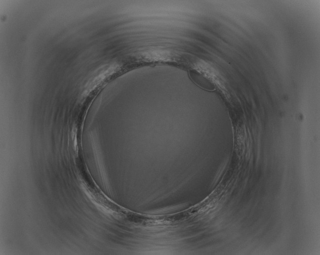 X0000067890398200604271832