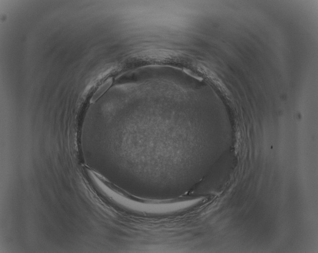 X0000067890399200604271832