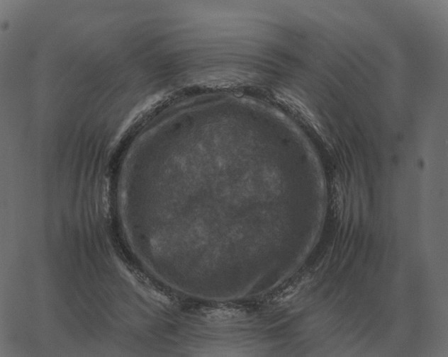 X0000067890400200604271832