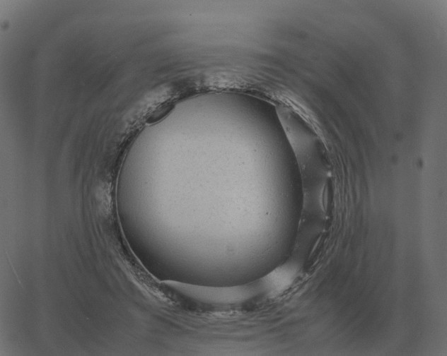 X0000067890401200604271832