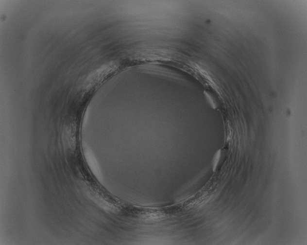 X0000067890402200604271832