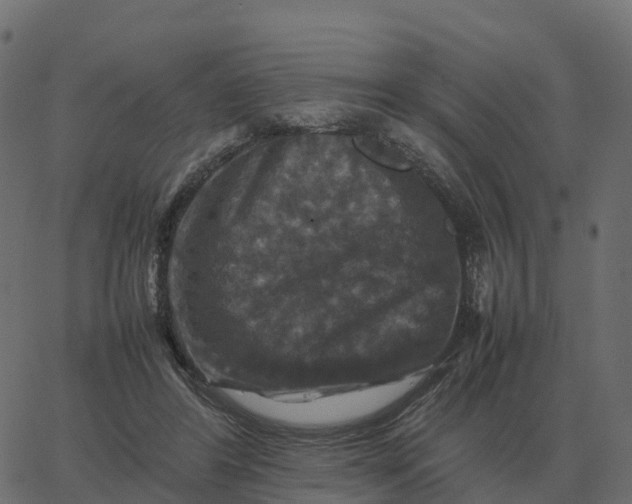 X0000067890404200604271832