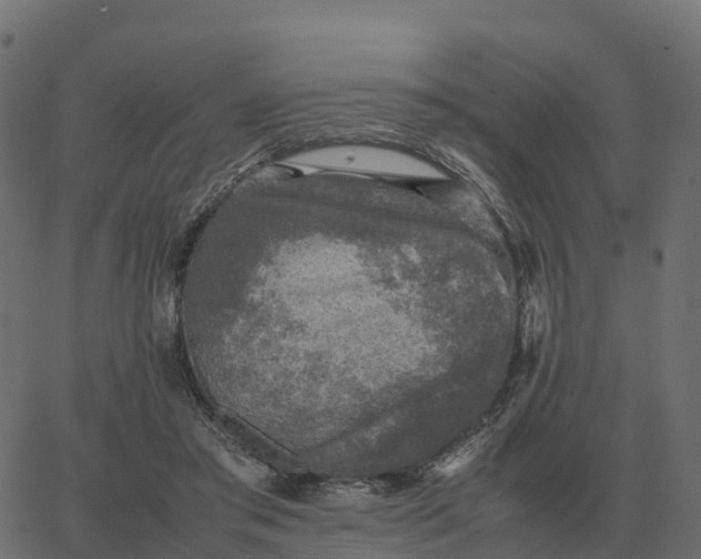 X0000067890405200604271832