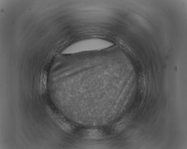 X0000067890406200604271832