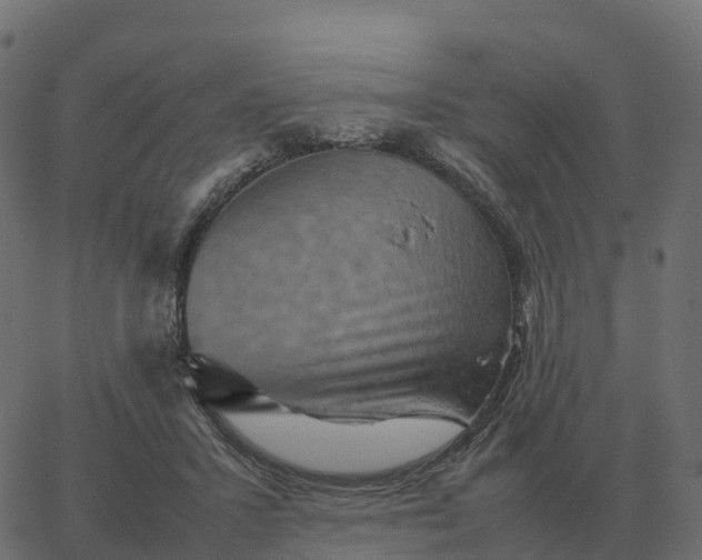 X0000067890407200604271832