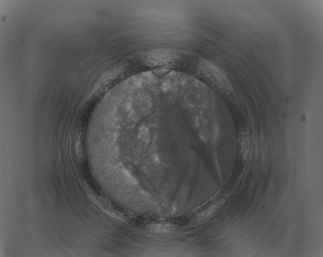 X0000067890408200604271832