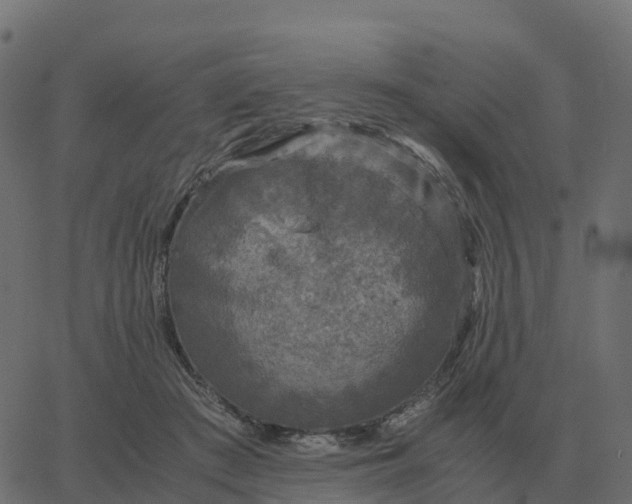 X0000067890409200604271832