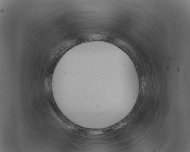 X0000067890410200604271832