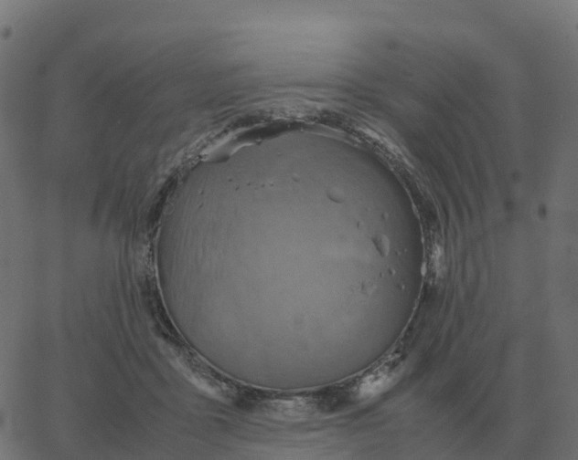 X0000067890411200604271831