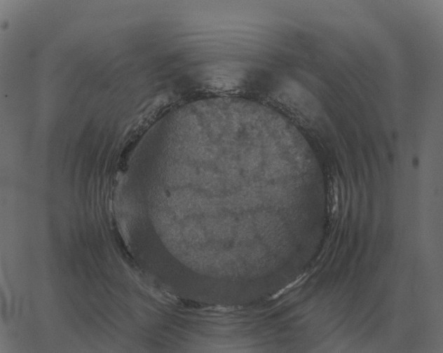 X0000067890412200604271831