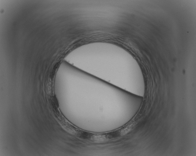 X0000067890413200604271831