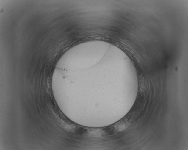 X0000067890414200604271831