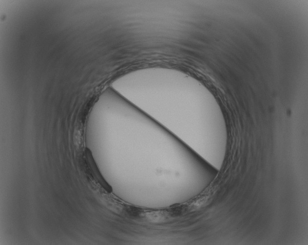 X0000067890417200604271831