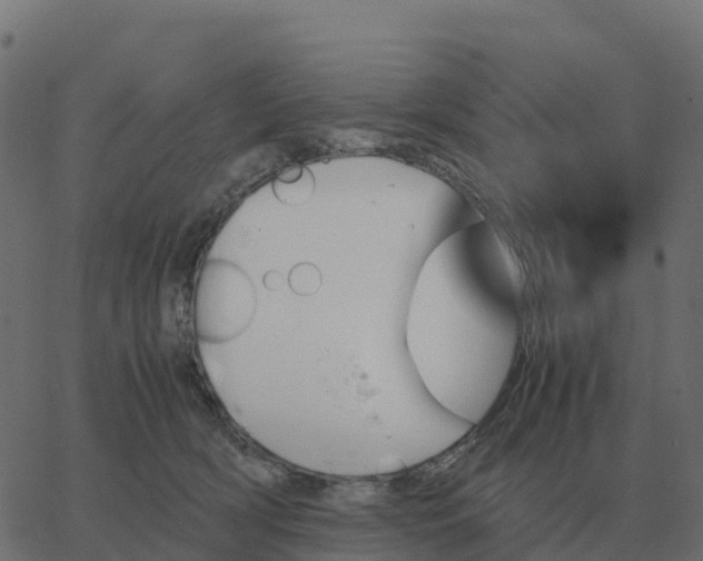 X0000067890418200604271831