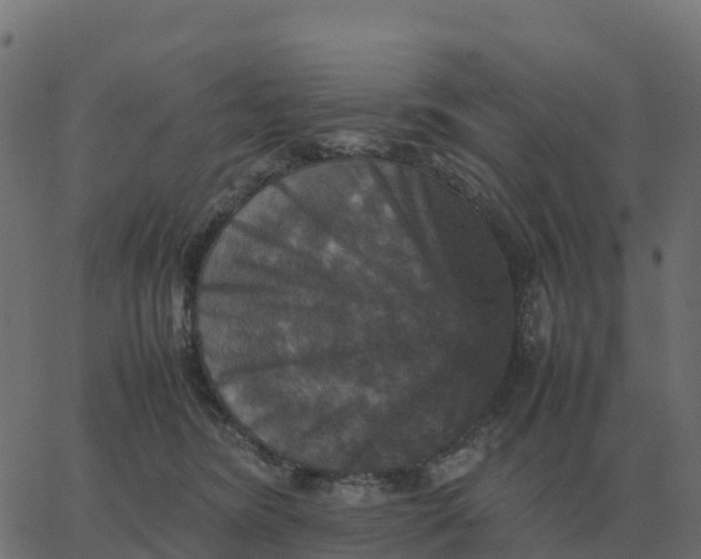 X0000067890420200604271831