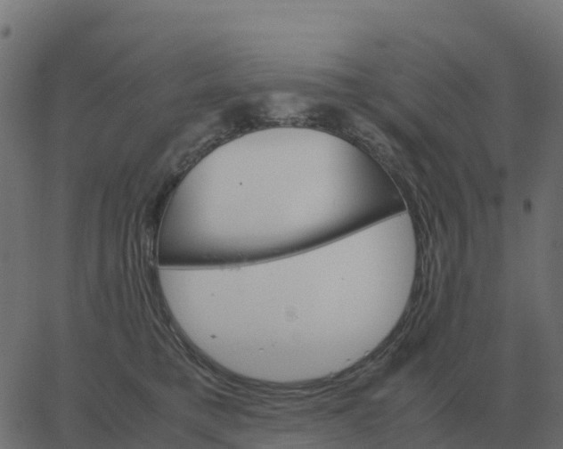 X0000067890421200604271831