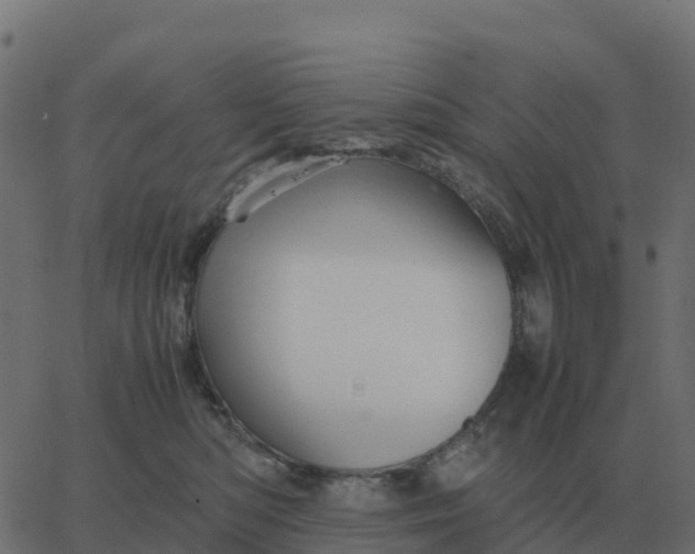 X0000067890422200604271831