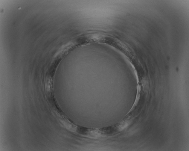 X0000067890423200604271831