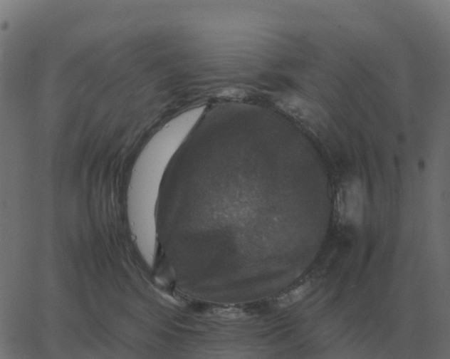 X0000067890424200604271831