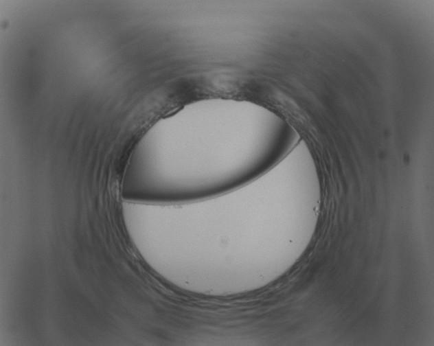 X0000067890425200604271831