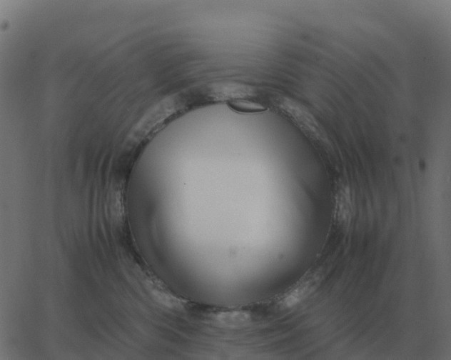 X0000067890426200604271831