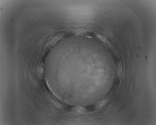 X0000067890427200604271831