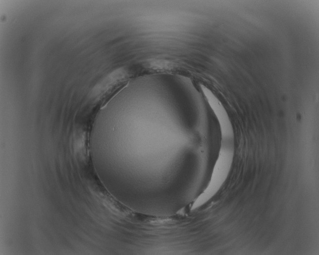 X0000067890428200604271831