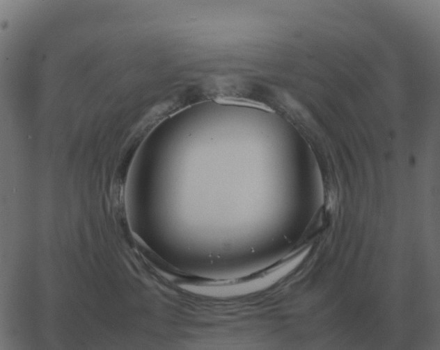 X0000067890429200604271831