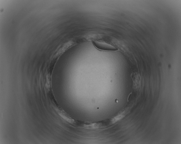 X0000067890430200604271831