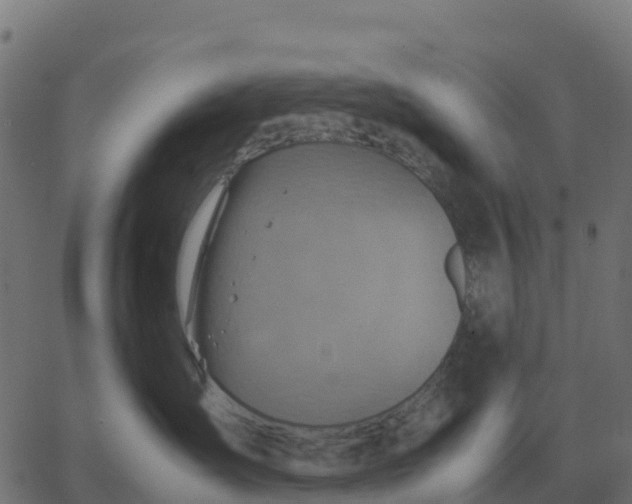 X0000067890431200604271831