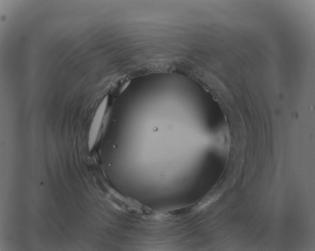 X0000067890432200604271831