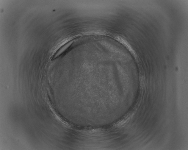 X0000067890433200604271830