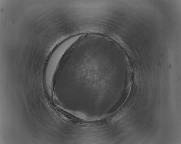 X0000067890434200604271830