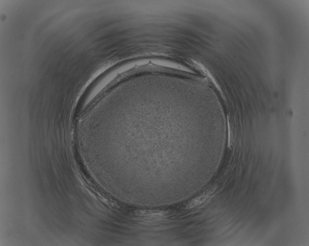 X0000067890435200604271830