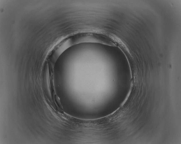 X0000067890436200604271830