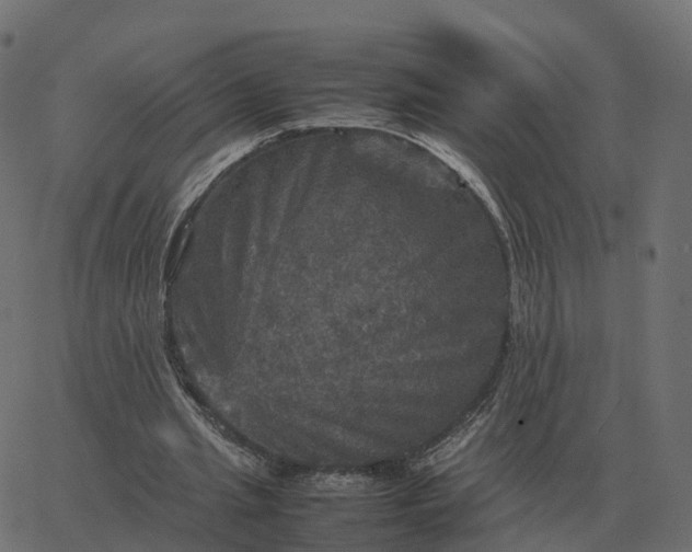 X0000067890437200604271830