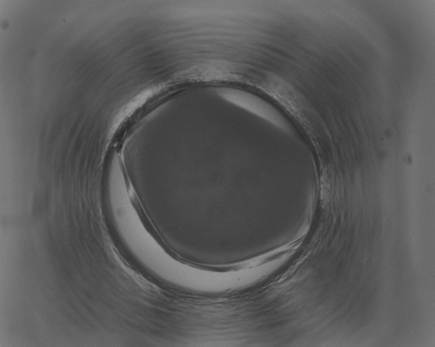 X0000067890438200604271830