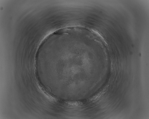 X0000067890439200604271830