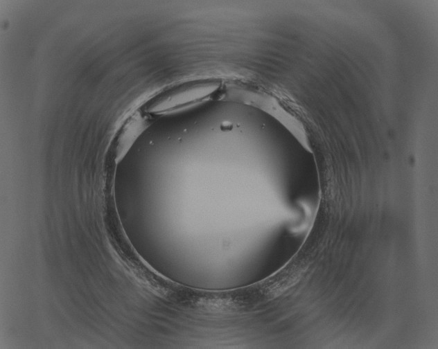 X0000067890440200604271830